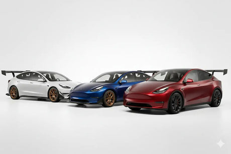 Modelos Polemann - Polemann