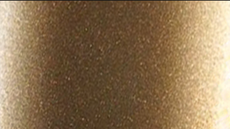 Captura_de_pantalla_2026-02-13_170845 - Polemann