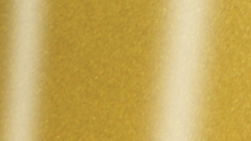 Captura_de_pantalla_2026-02-13_170945 - Polemann