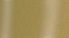 Captura_de_pantalla_2026-02-13_171037 - Polemann