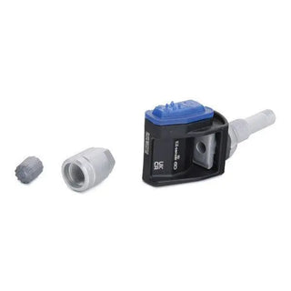 TPMS_Taycan - Polemann