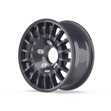 WINRACE-T2 - Polemann