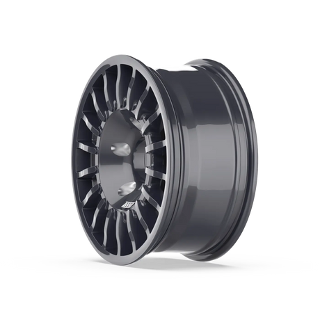 WINRACE-T3 - Polemann