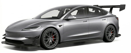 polemann3evomax3_silver - Polemann